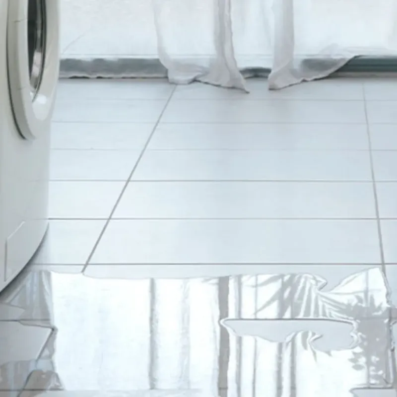 Appliance Leak Cleanup in South Daytona, FL